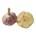 2020 Wholesale Baby Fresh Organic White Garlic With Price